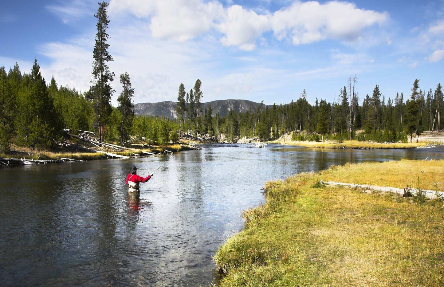 Beadhead Olive 3 Dollar Dip Serendipity Wet Fly Fishing Flies - 1 Dozen Flies Hook Size 18