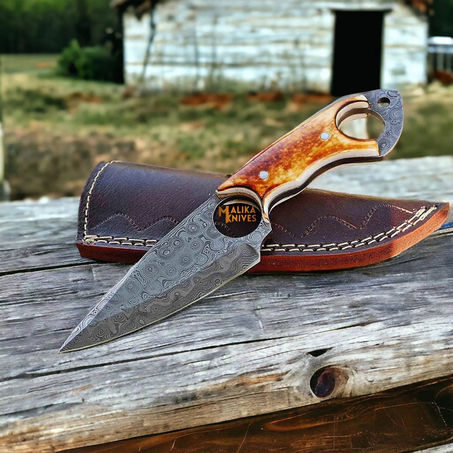 RingTail Hunting Knife - Tinted Camel Bone Handle - Full Tang - Ultimate Outdoor Companion-0355