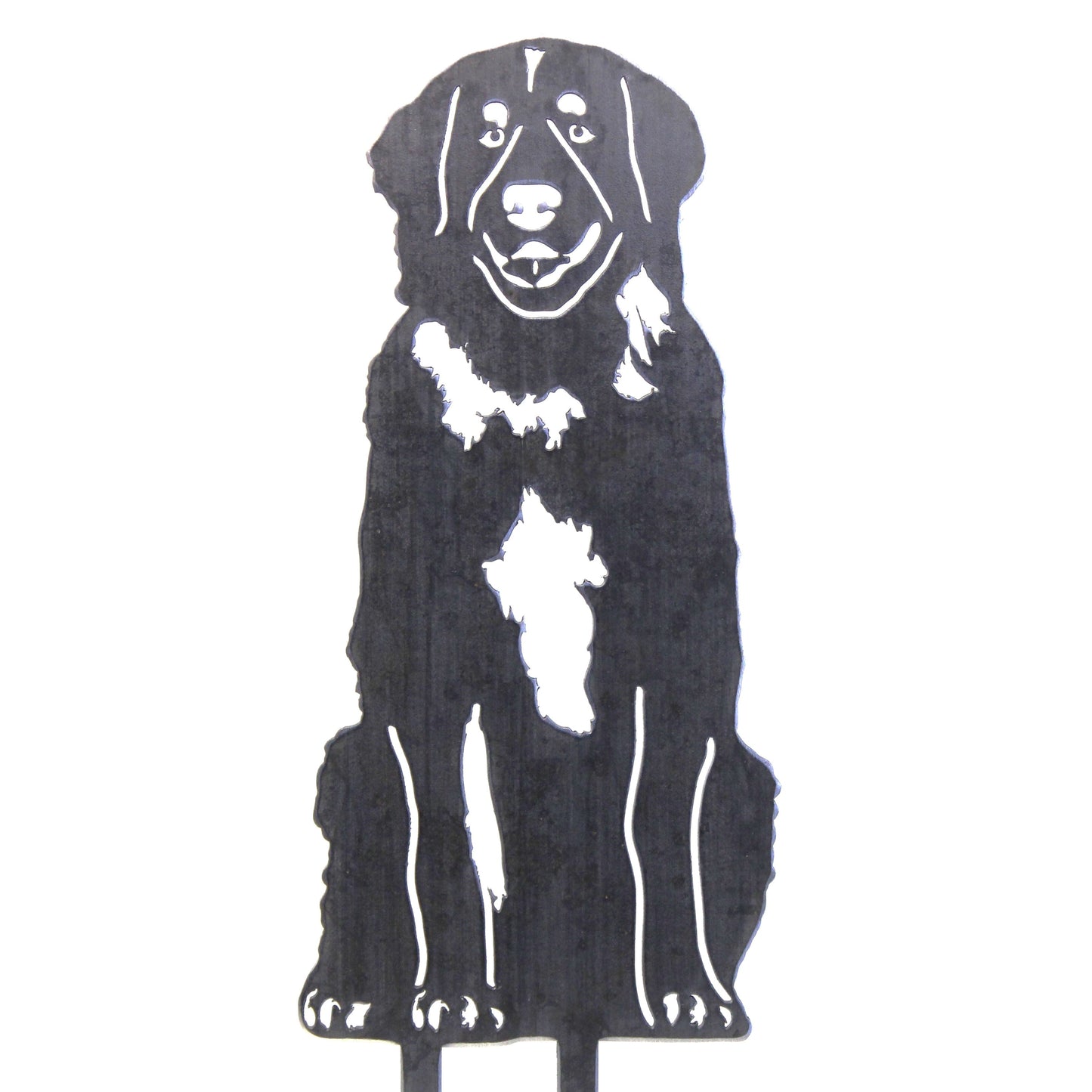 Leonberger