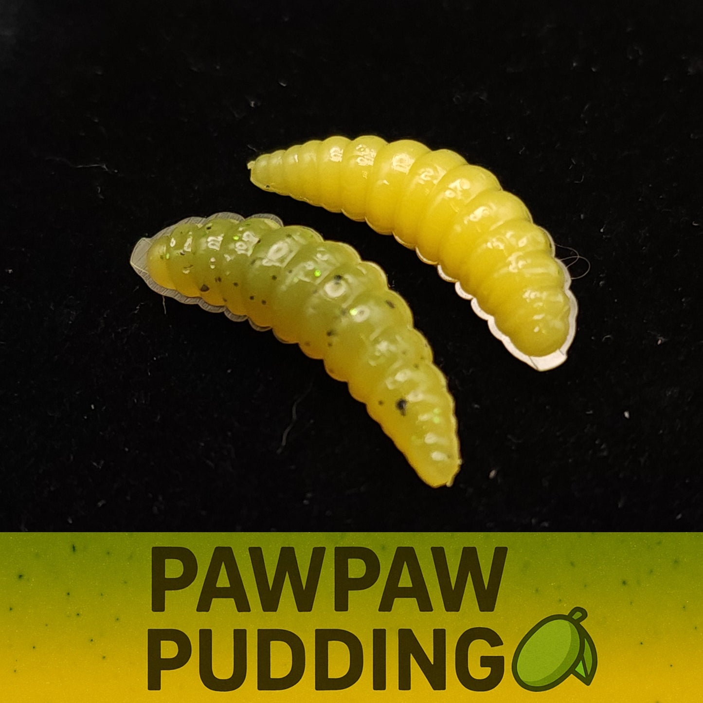 Jar of 1" Waxworm "The Tater Bug"