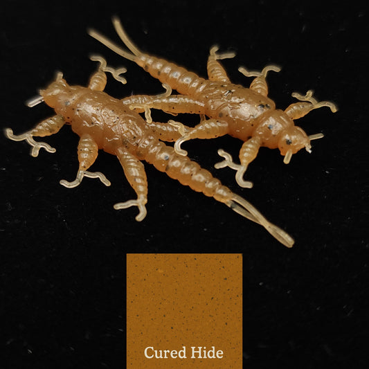 Jar of 1.5" Inch Stonefly Larvae "The Morelkin"