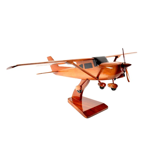 CESSNA 172