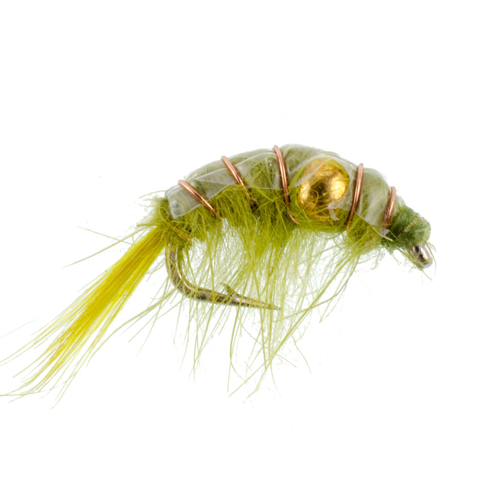 Olive Beaded Shrimp Scud Pattern - 1 Dozen Size 16 - Tailwater Lake Fly Fishing Nymph