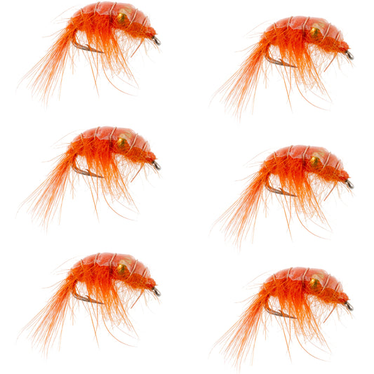 Orange Beaded Shrimp Scud - 6 Flies - Size 16 - Tailwater Lake Fly Fishing Nymph