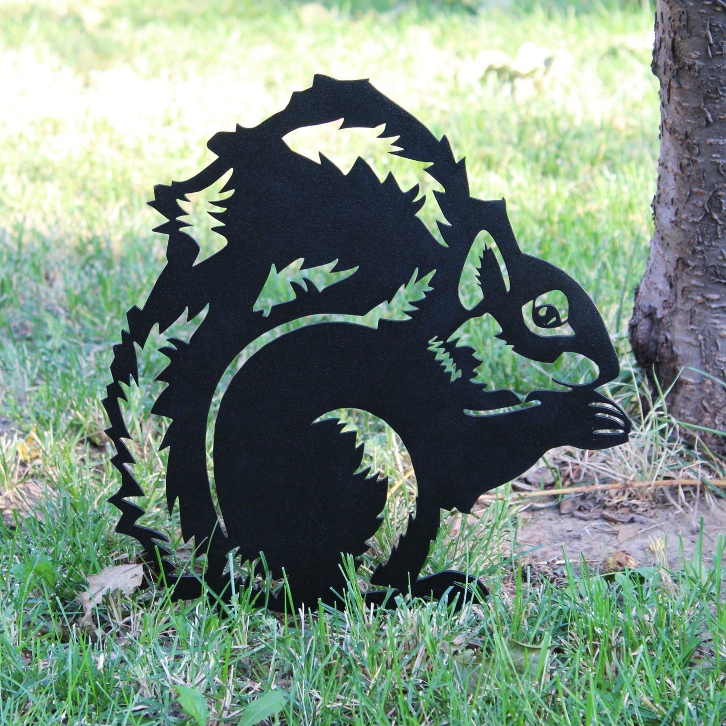 Squirrel