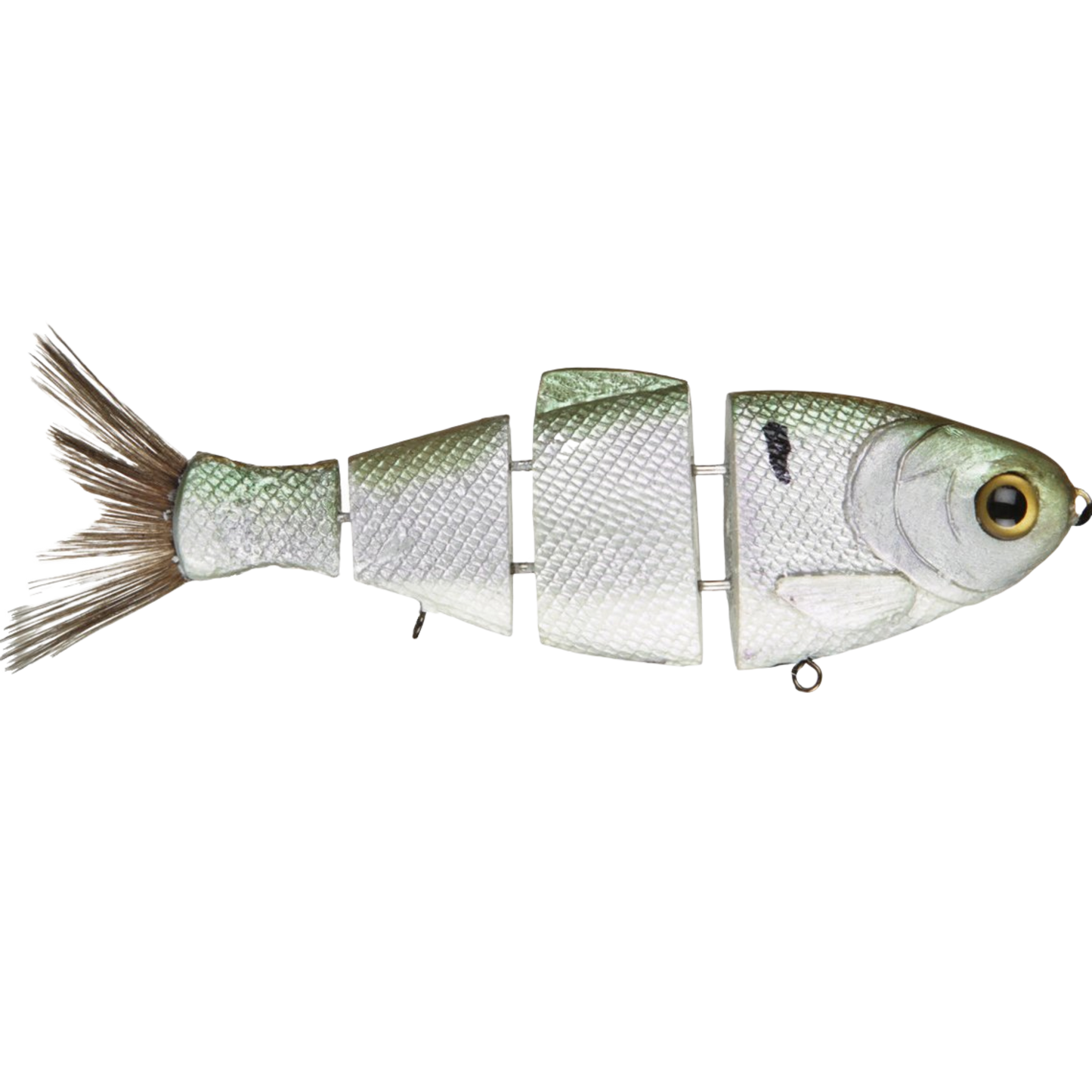 Bull Shad Slow Sink