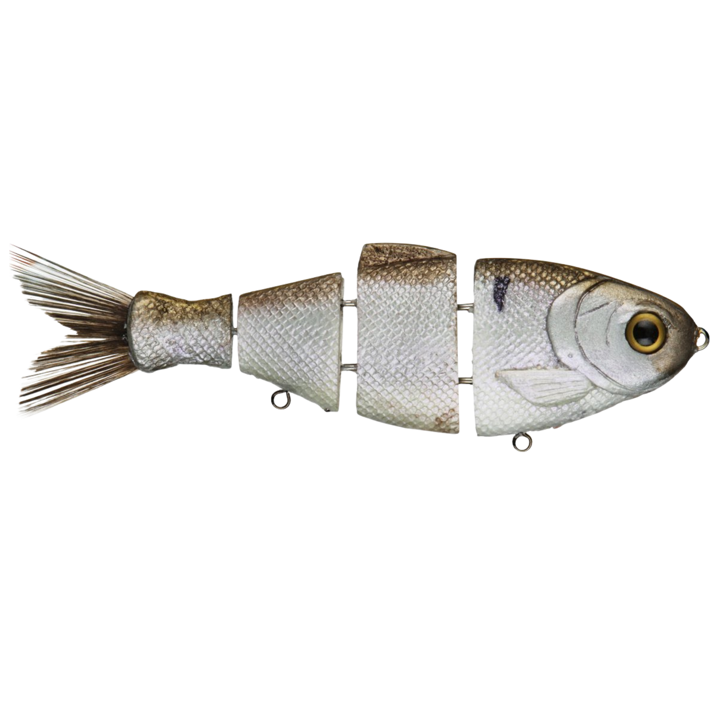 Bull Shad Slow Sink
