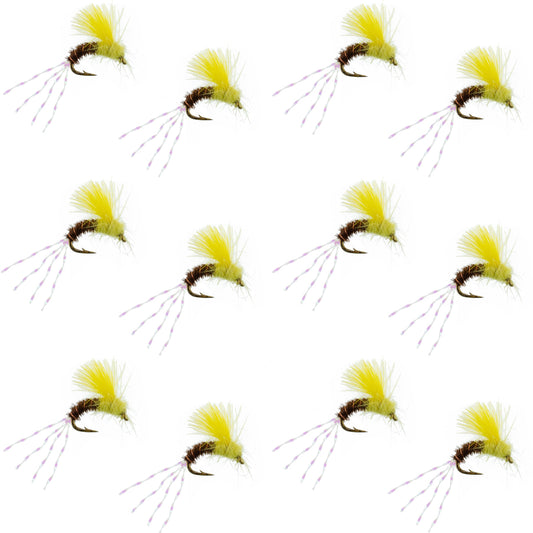 CDC Pale Morning Dun Emerger PMD Fishing Fly - 12 Flies Size 16