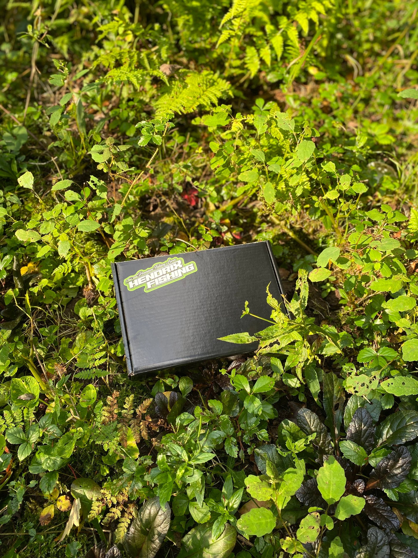 Hendrix Mystery Boxes