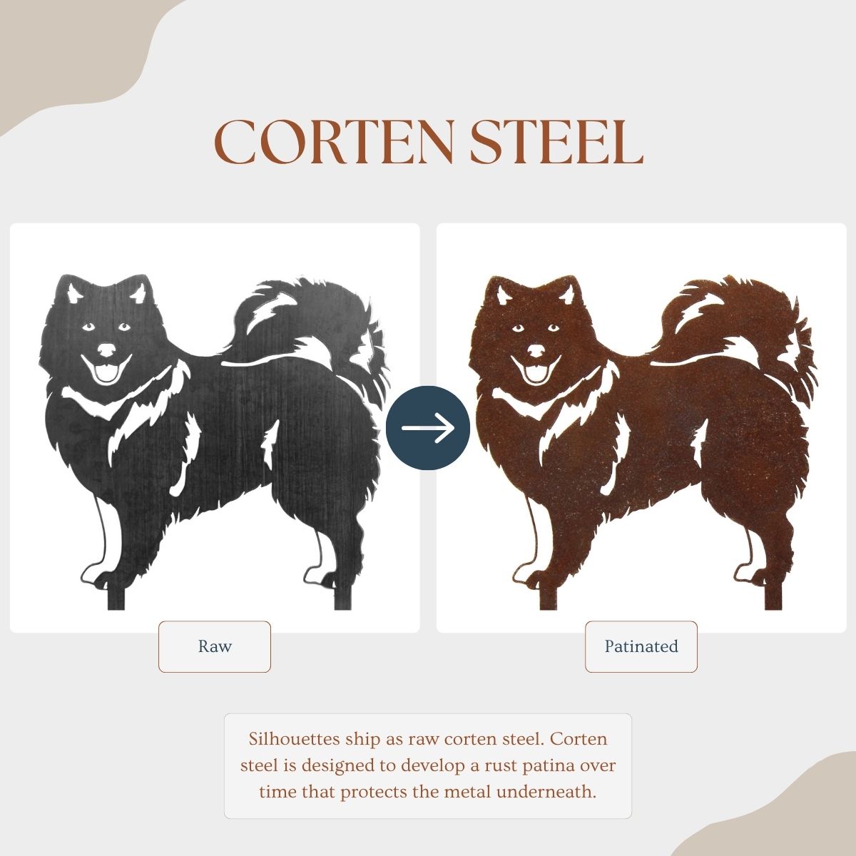 Keeshond