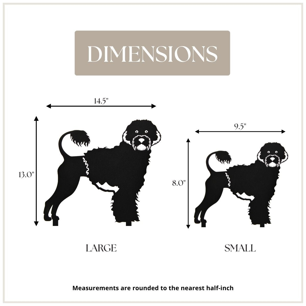 Portuguese Water Dog