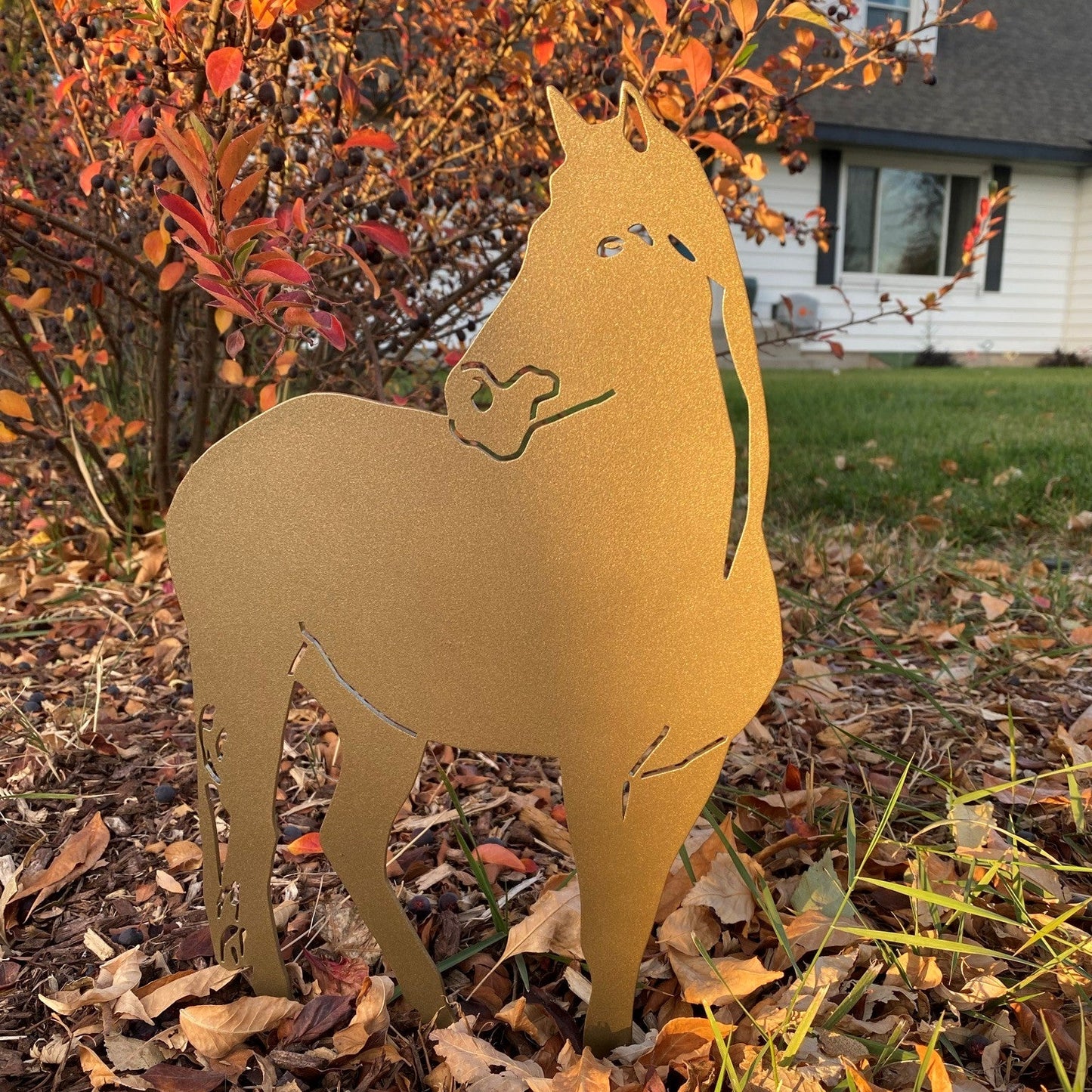 Horse