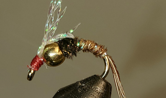 BH Sparkle Back PT