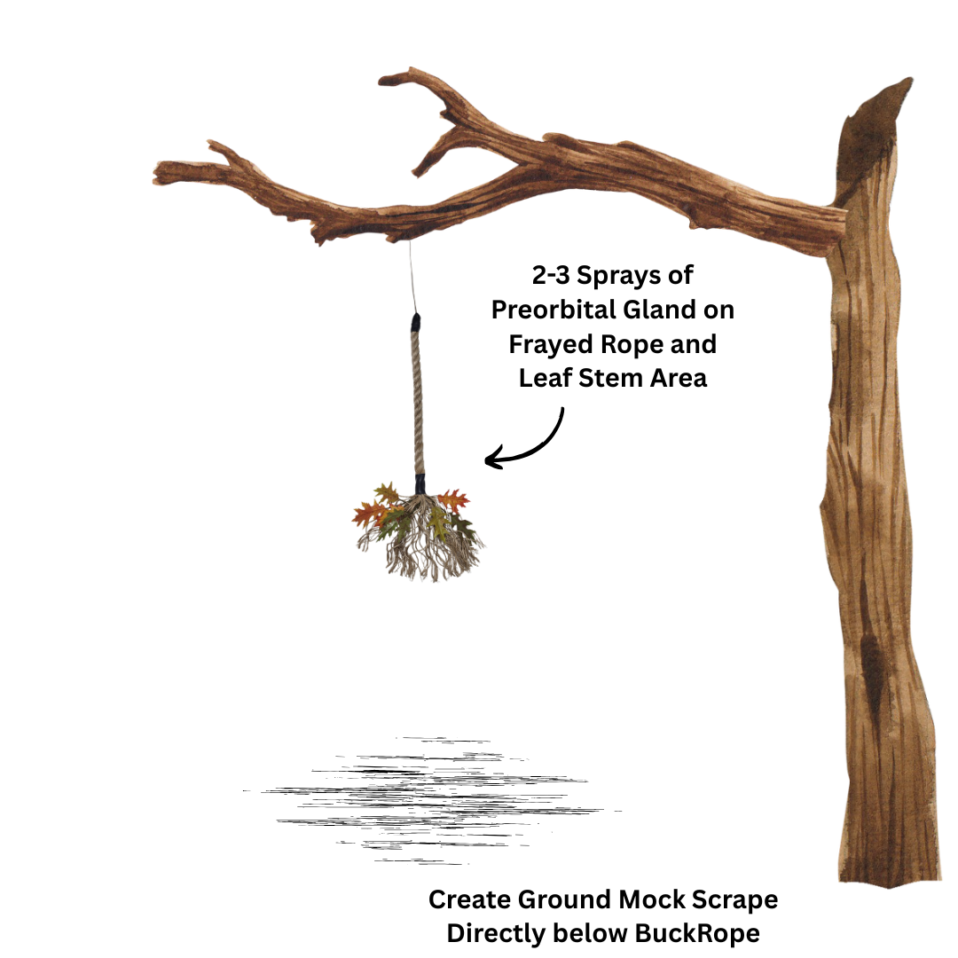 BUCK ROPE