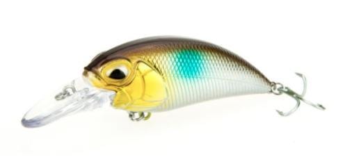 B8LAB Ultimate Strike Shad Bundle